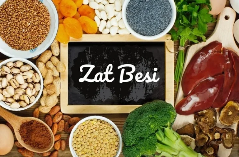 Memahami Pentingnya Zat Besi dalam Gaya Hidup dan Suplemen yang Tepat